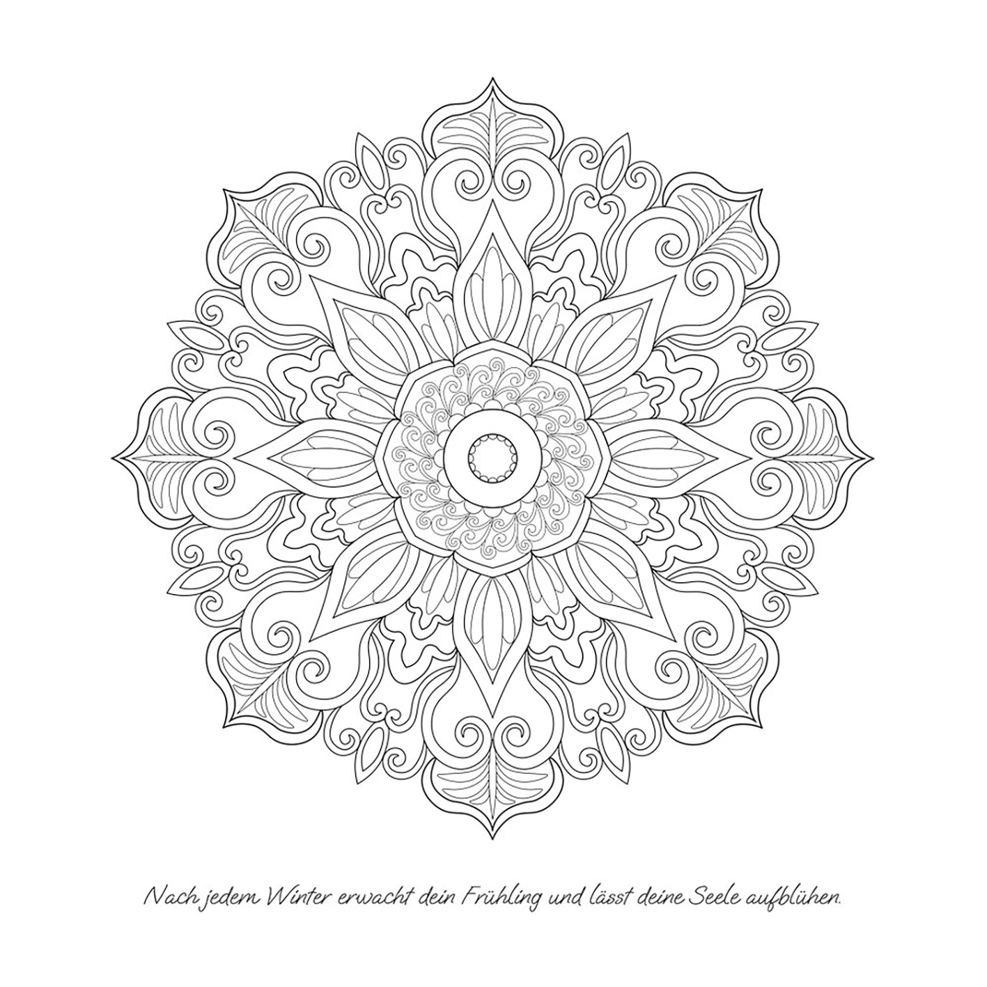 JO ELBA | Buecher | Ein Garten voller Mandalas – 52 Mandalas mit liebevollen Affirmationen zum Aufblühen & Wachsen | Ausmalbuch für Erwachsene | Blick ins Buch 2
