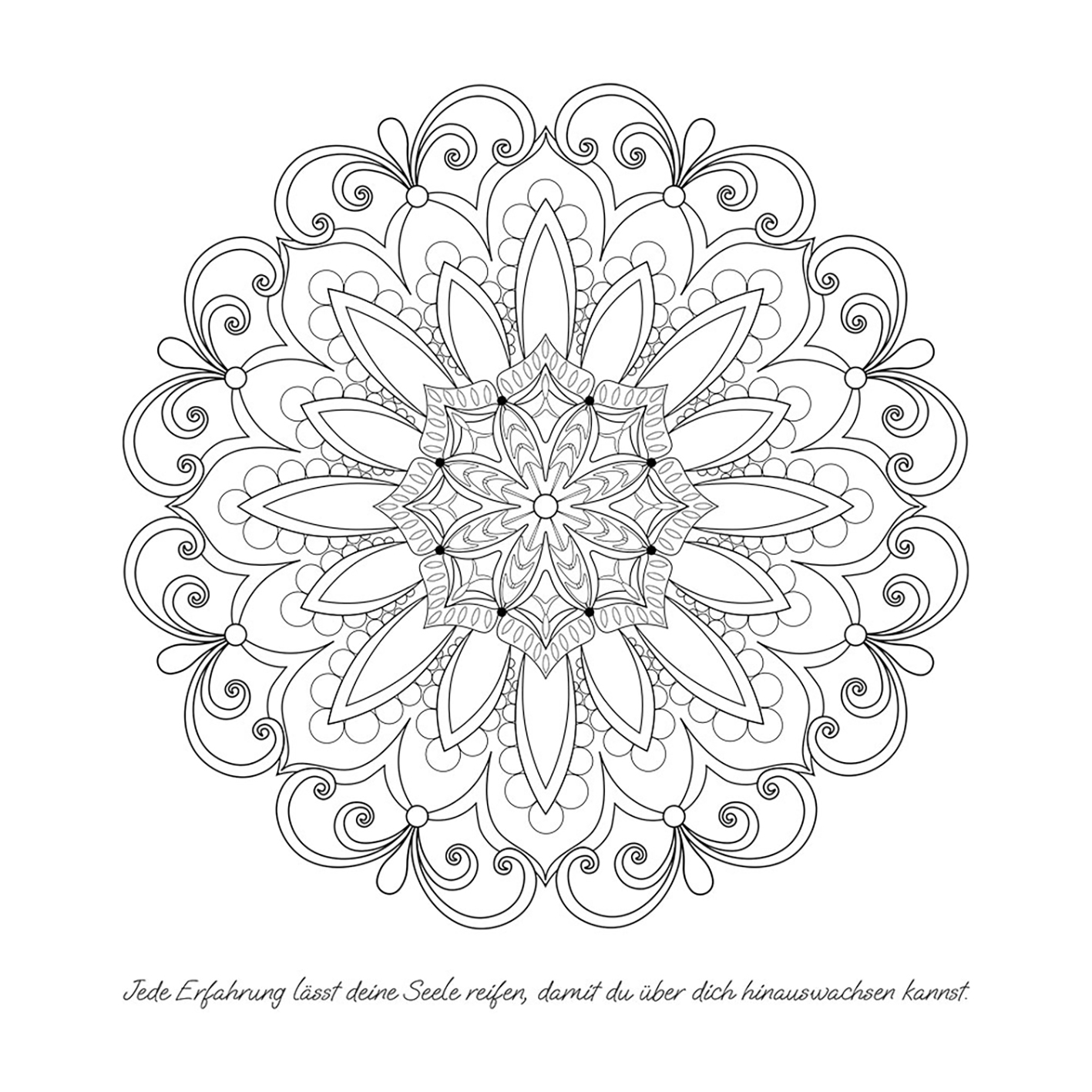 JO ELBA | Buecher | Ein Garten voller Mandalas – 52 Mandalas mit liebevollen Affirmationen zum Aufblühen & Wachsen | Ausmalbuch für Erwachsene | Blick ins Buch 4