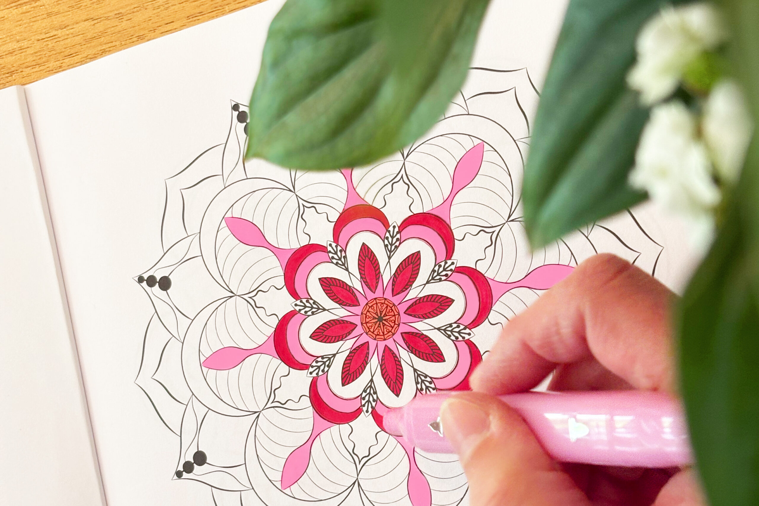 JO ELBA | Mandala Malbücher | Ein Jahr voller Mandalas